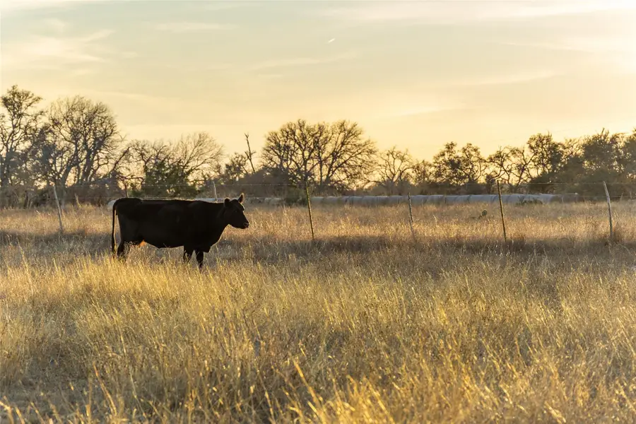 TBD Klein-ahrens Rd, Fredericksburg, TX 78624 - #2