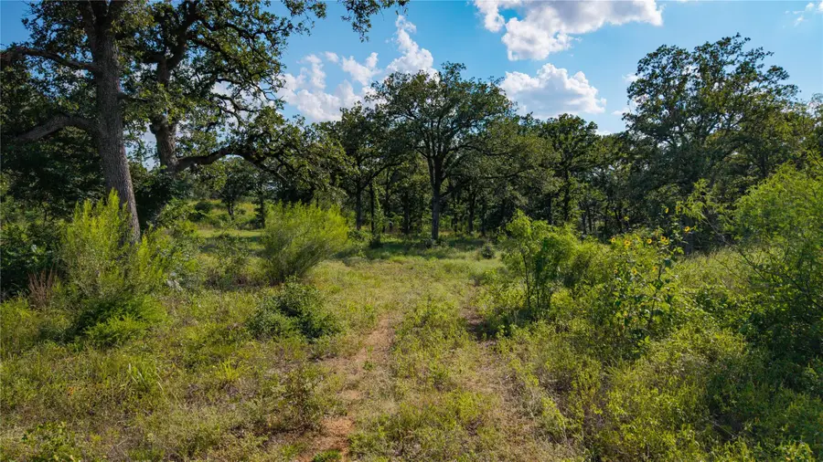 206 Sayers Rd, Bastrop, TX 78602 - #3