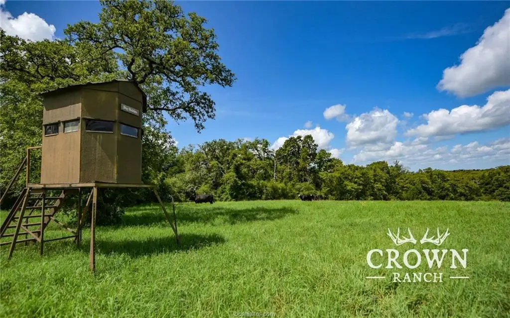 TBD Fm 908 (+/-1,057 Acres), Caldwell, TX 77836 - #1