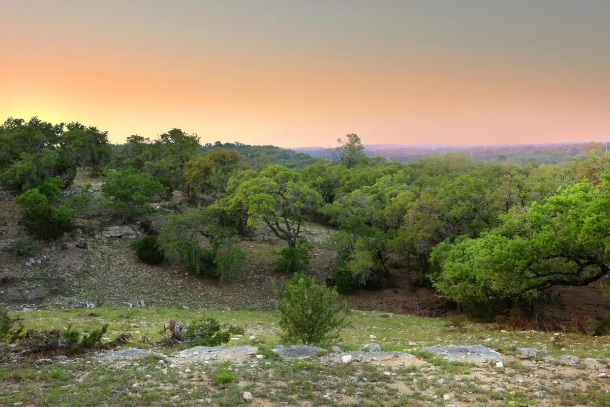 396 Waters View Ct, Dripping Springs, TX 78620 - #1