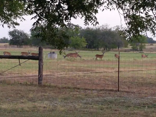 10905 S. FM 1915 Fm 1915 Highway, Buckholts, TX 76518