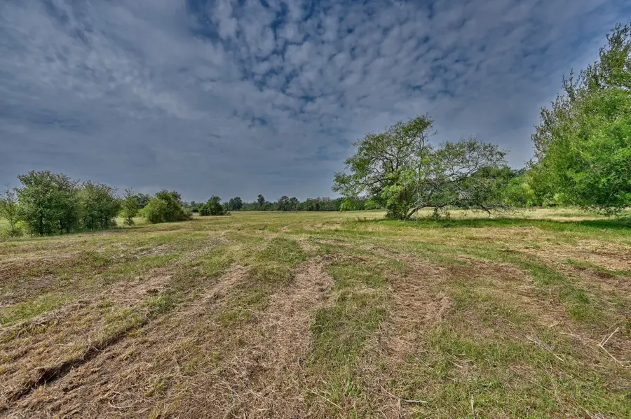 TBD (14.253 Acres) Lee County Rd, Paige, TX 78659 - Image #2