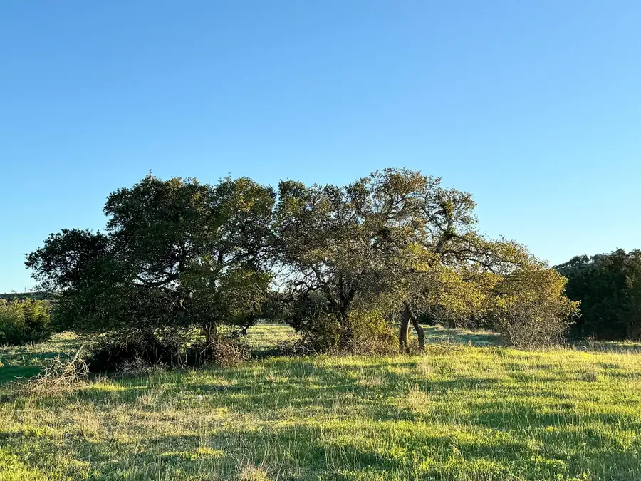 105 Majestic Hills, Blanco, TX 78606 - #3