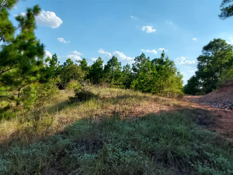 909 Hana Court St, Bastrop, TX 78602 - #2