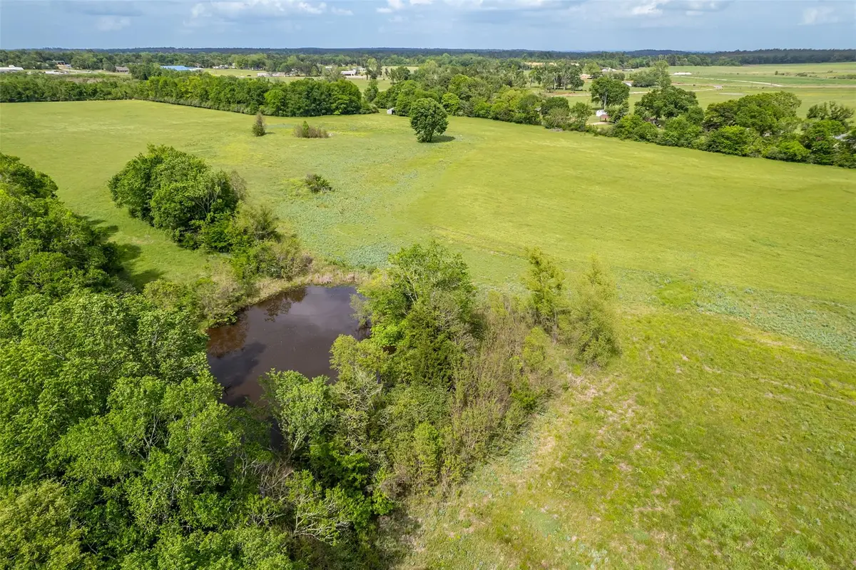 398 Fm 1911 S, Alto, TX 75925 - #1