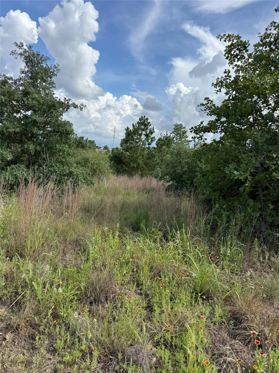 Lots 88, 89, 90 Pintail Ln, Bastrop, TX 78602 - #1