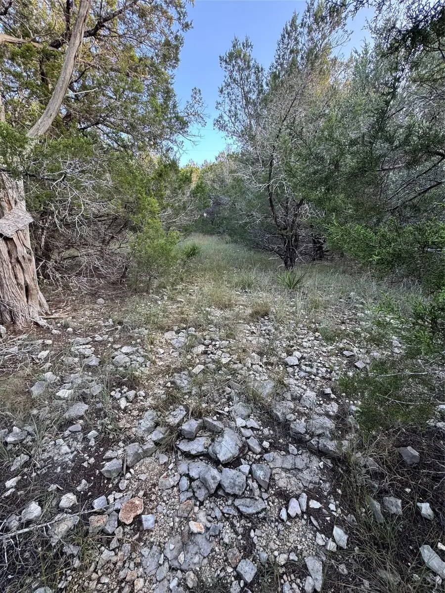 918 Debco Ln, Spicewood, TX 78669 - #3