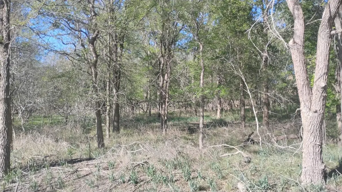 130 W Keomuku Ln, Bastrop, TX 78602 - #1