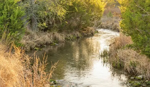 2227 Klein-ahrens Rd, Fredericksburg, TX 78624