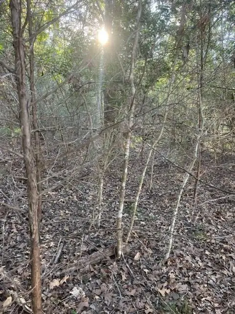 #1