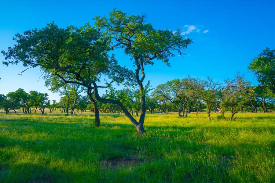 0 Bountiful Oaks Ranch, Johnson City, TX 78636 - #3