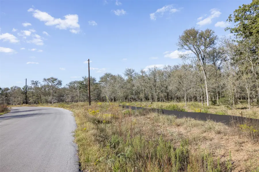 897 Ferguson Loop, Dale, TX 78616 - Image #3