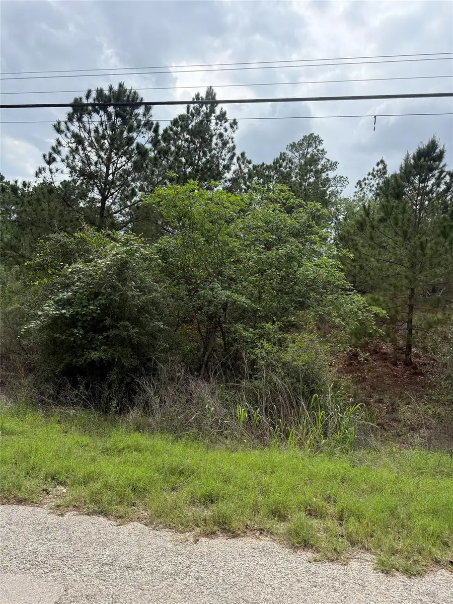Lot 1360 N Kuapo Dr, Bastrop, TX 78602 - #2