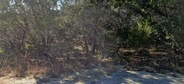 20505 Greeley Cv, Lago Vista, TX 78645