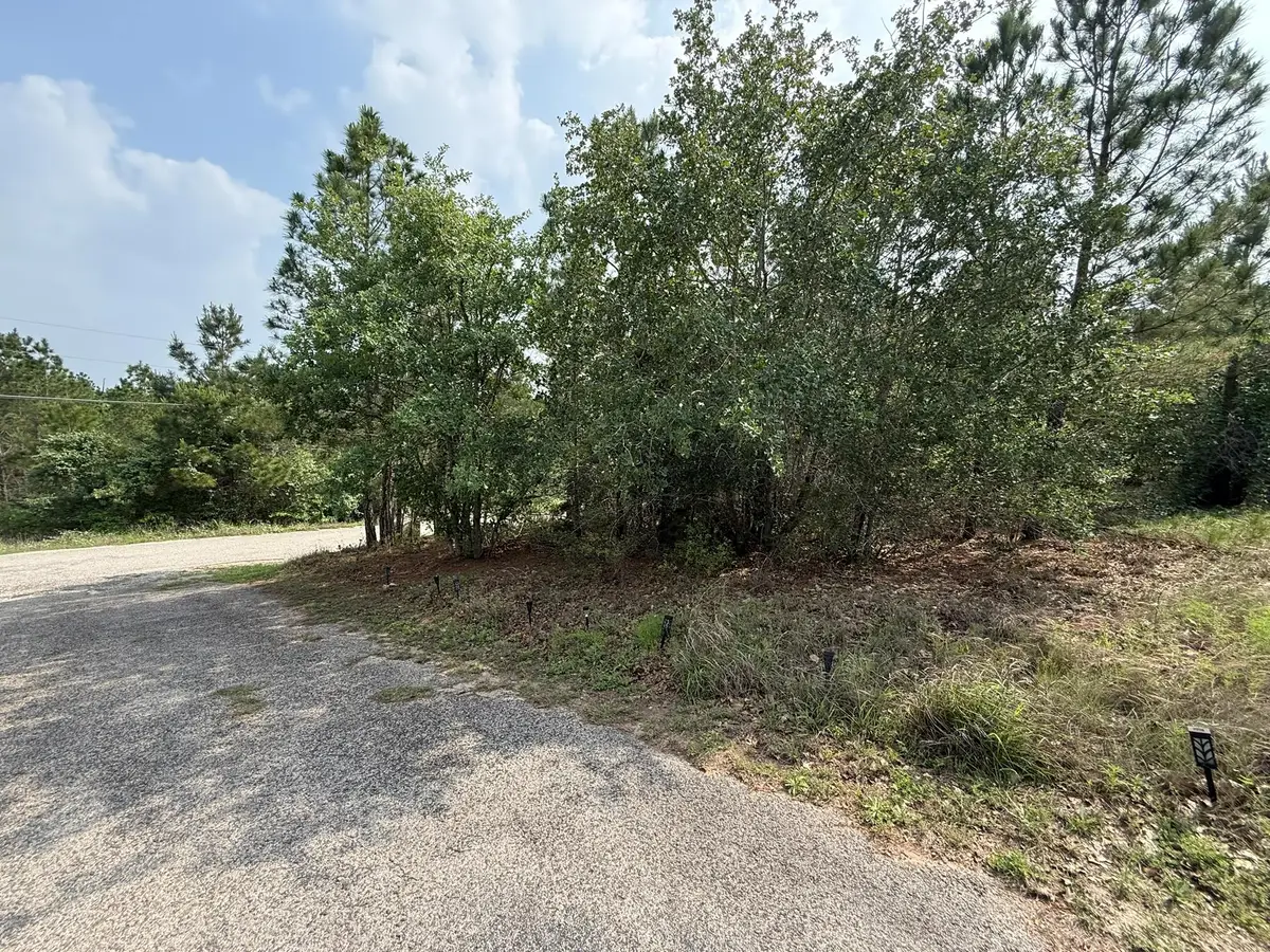 lot 70 Lakeside Dr, Bastrop, TX 78602 - #1