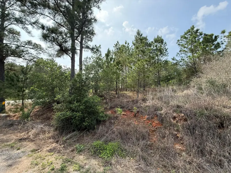 lot 70 Lakeside Dr, Bastrop, TX 78602 - #3