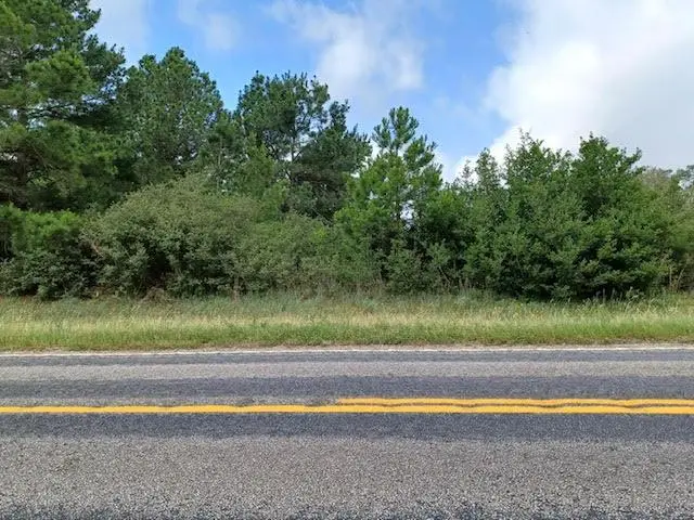 TBD Fm 141, Dime Box, TX 77853 - Image #1