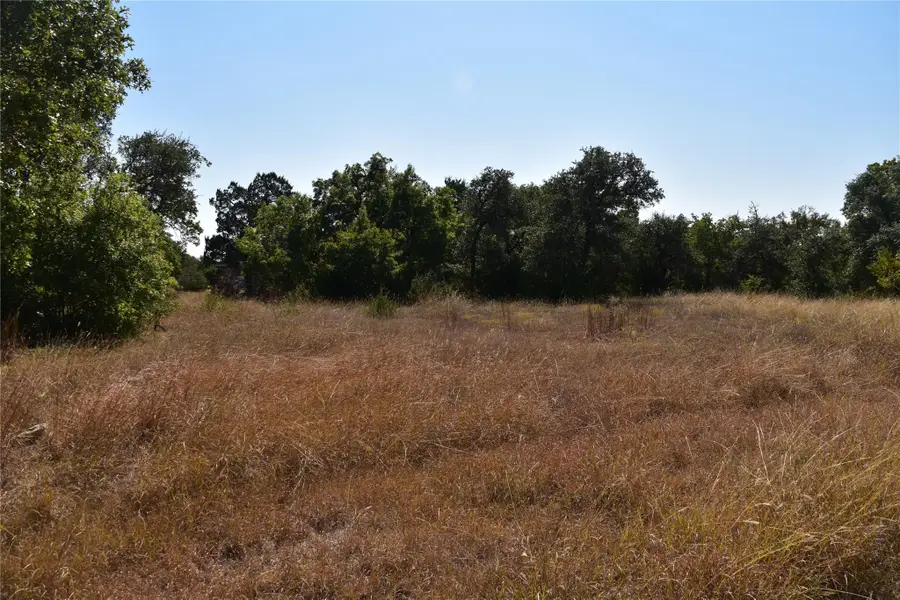 3317 Whitt Park Path, Leander, TX 78641 - Image #2