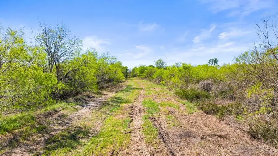 8530 Fm 153, La Grange, TX 78945 - #2