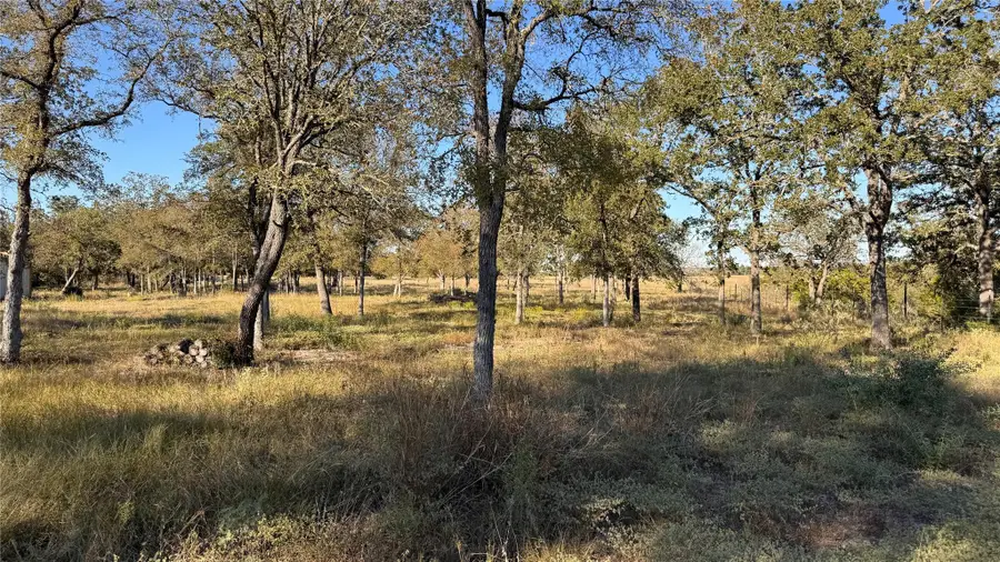 0000 Dickerson Ln, Elgin, TX 78621 - #2