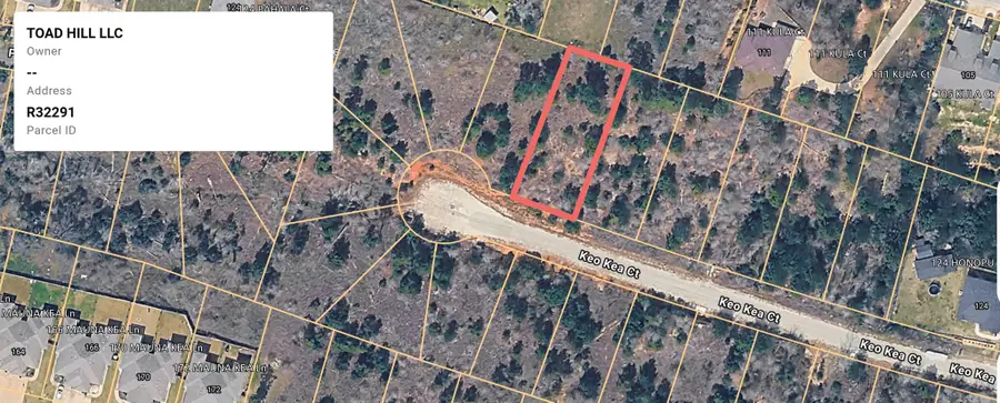 LOT 182 Keo Kea Ct, Bastrop, TX 78602 - #3