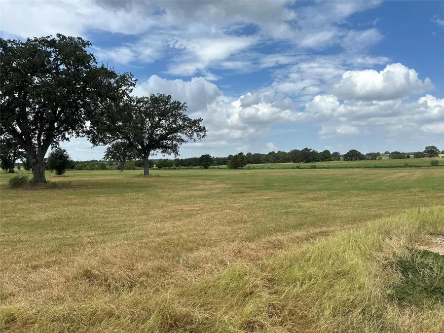 000 Old Potato Rd, Paige, TX 78659 - #2