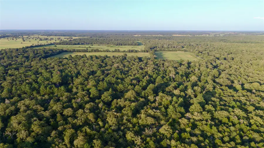 TBD Private Road 4361, Dime Box, TX 77853 - Image #3