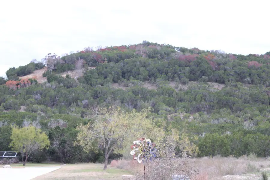 218 Spring Hollow Drive Dr, Bertram, TX 78605 - #3