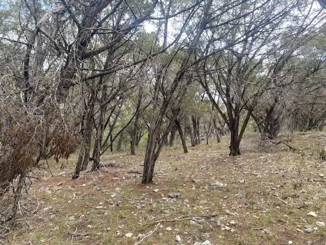 20902 Stone Cliff Dr, Lago Vista, TX 78645 - Image #2