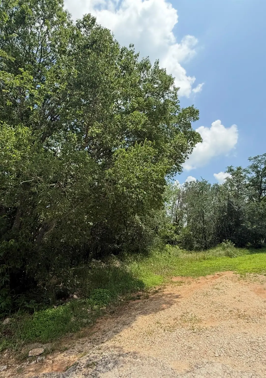 135 Jackson St, Elgin, TX 78621 - #1