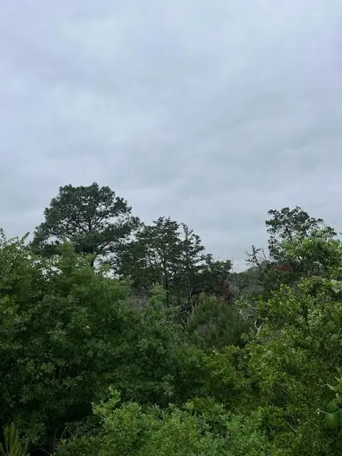 Lot 1603 Ulupau Cir, Bastrop, TX 78602 - #3