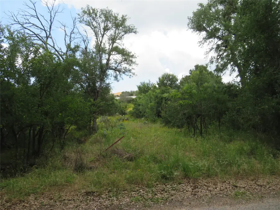 Lot 163 Buena Vista Dr, Burnet, TX 78611 - #2
