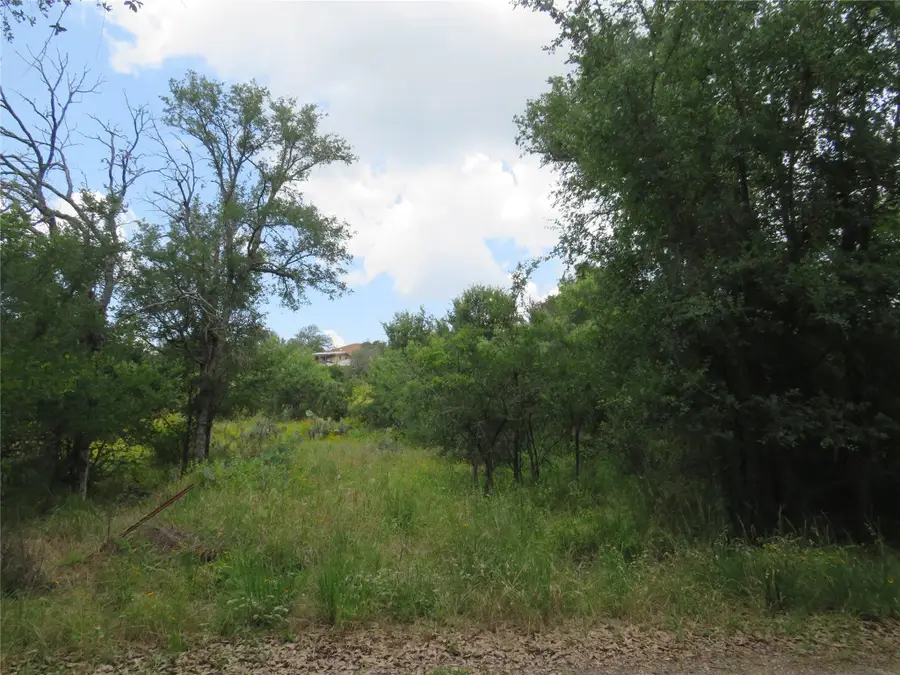 Lot 163 Buena Vista Dr, Burnet, TX 78611 - #3