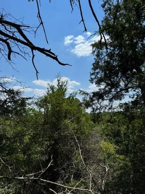 157 Lamaloa Ln, Bastrop, TX 78602 - #1
