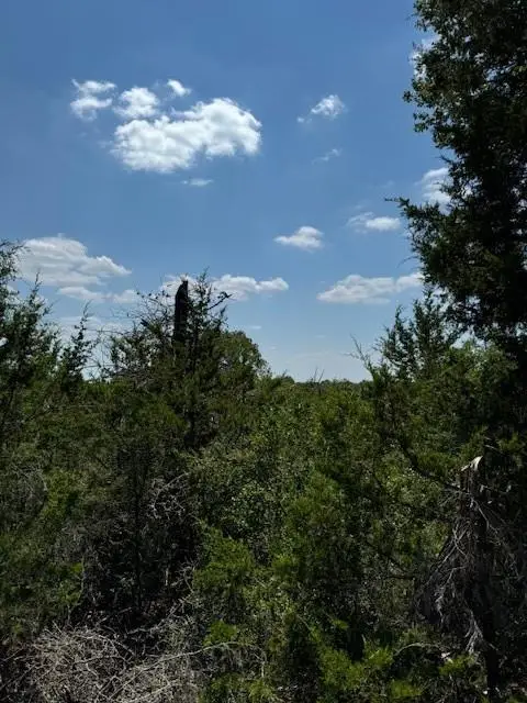 157 Lamaloa Ln, Bastrop, TX 78602 - #2