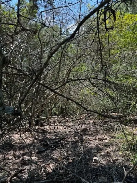 157 Lamaloa Ln, Bastrop, TX 78602 - #3