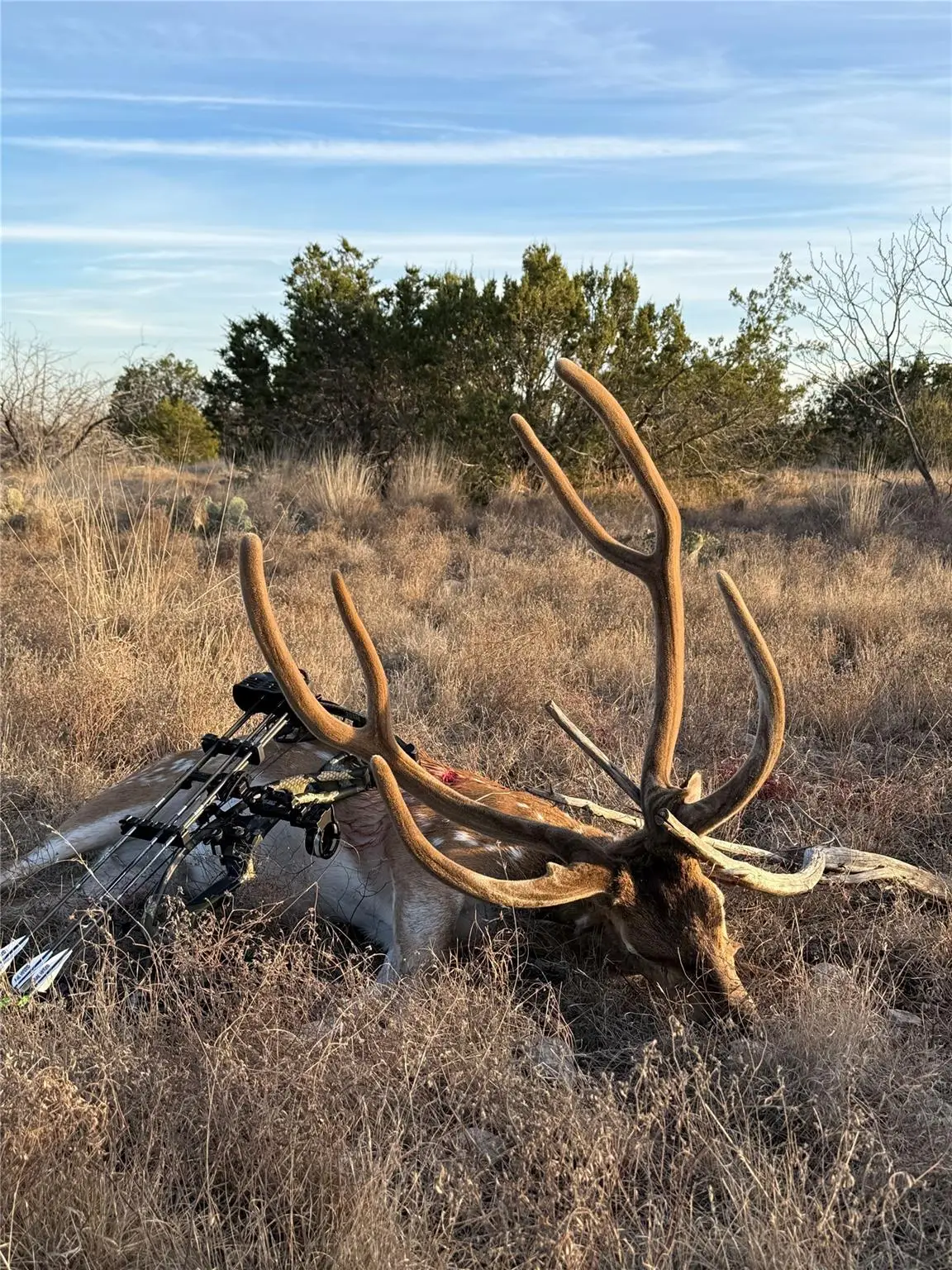 0 Sutton County Rd 406 Rd, Sonora, TX 76950 - #1