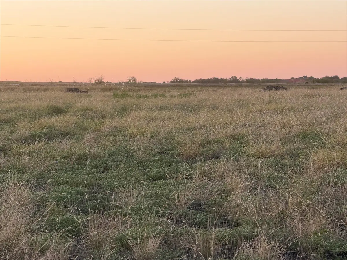200 Tigerlily Way, Thrall, TX 76578 - #1