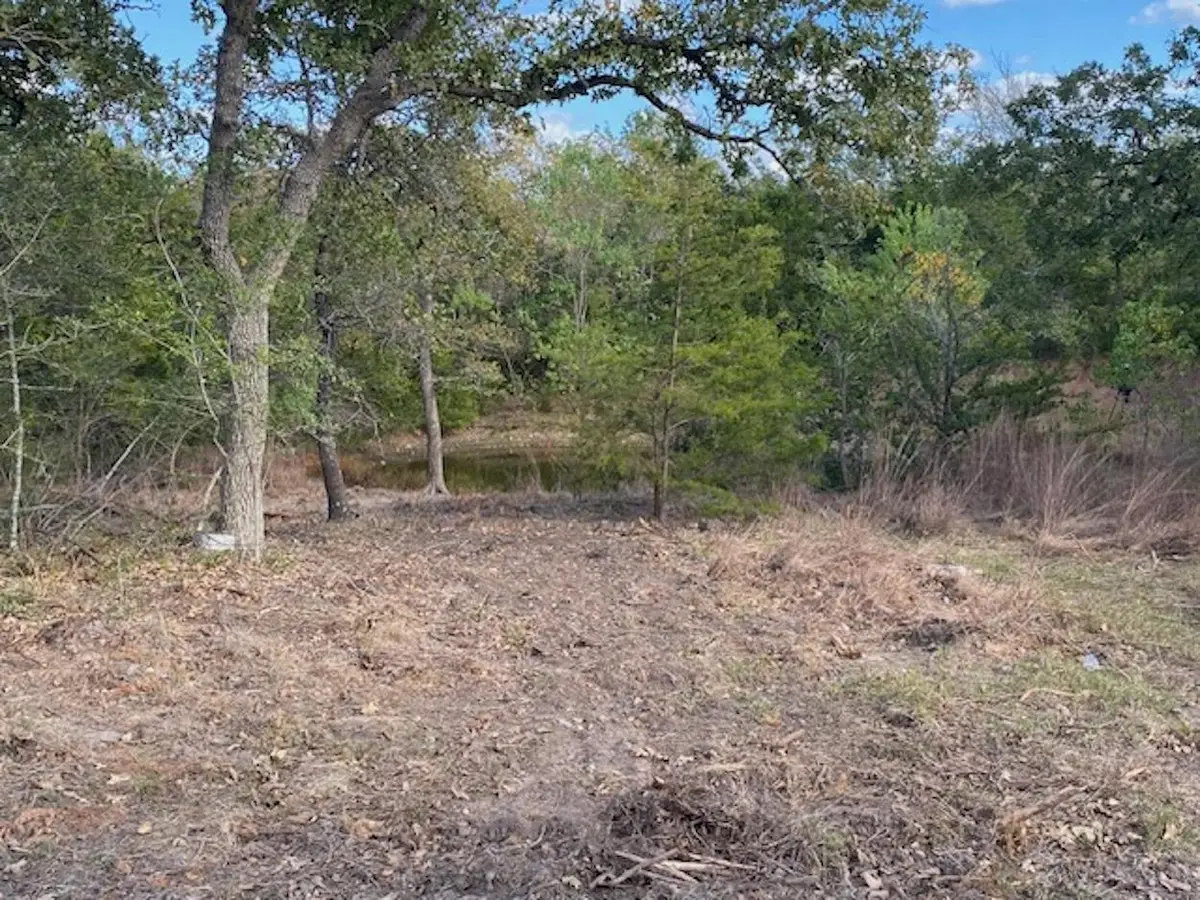 602 Oilers Dr, Somerville, TX 77879 - Image #1