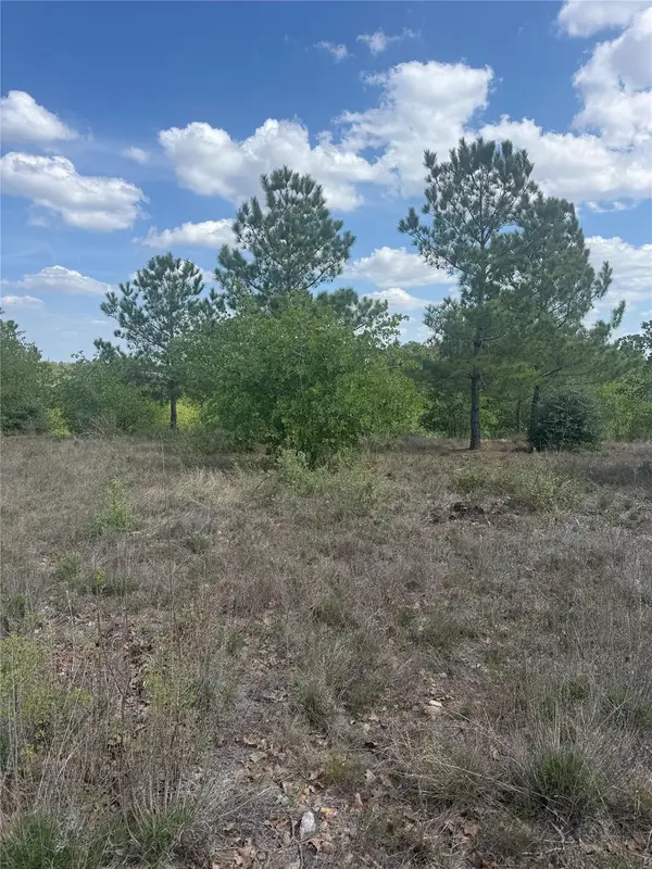 TBD Lakewood Dr, Bastrop, TX 78602