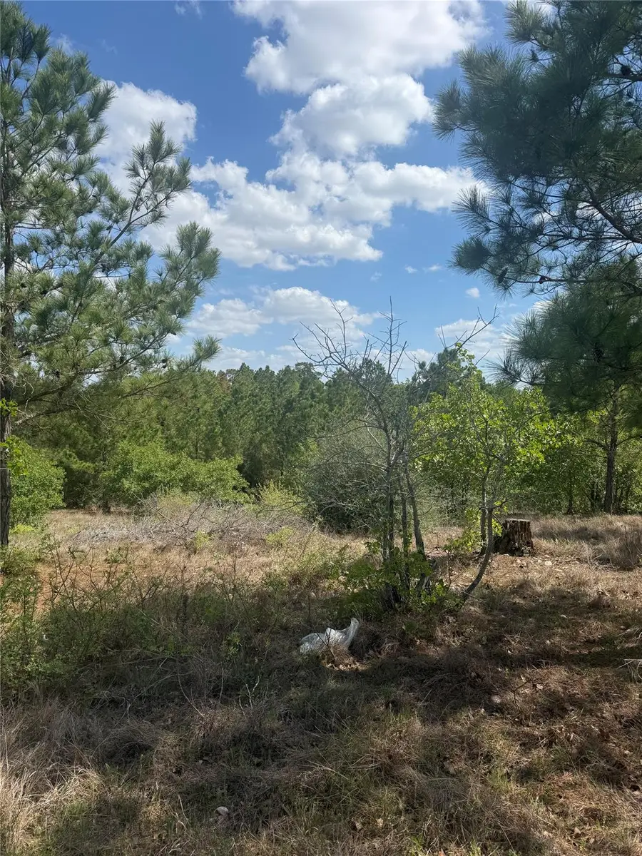 TBD Lakewood Dr, Bastrop, TX 78602 - #2