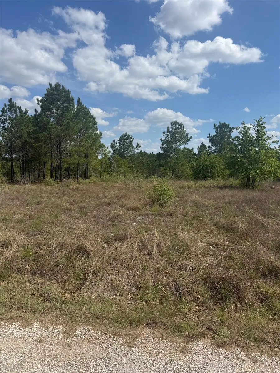 TBD Lakewood Dr, Bastrop, TX 78602 - #3