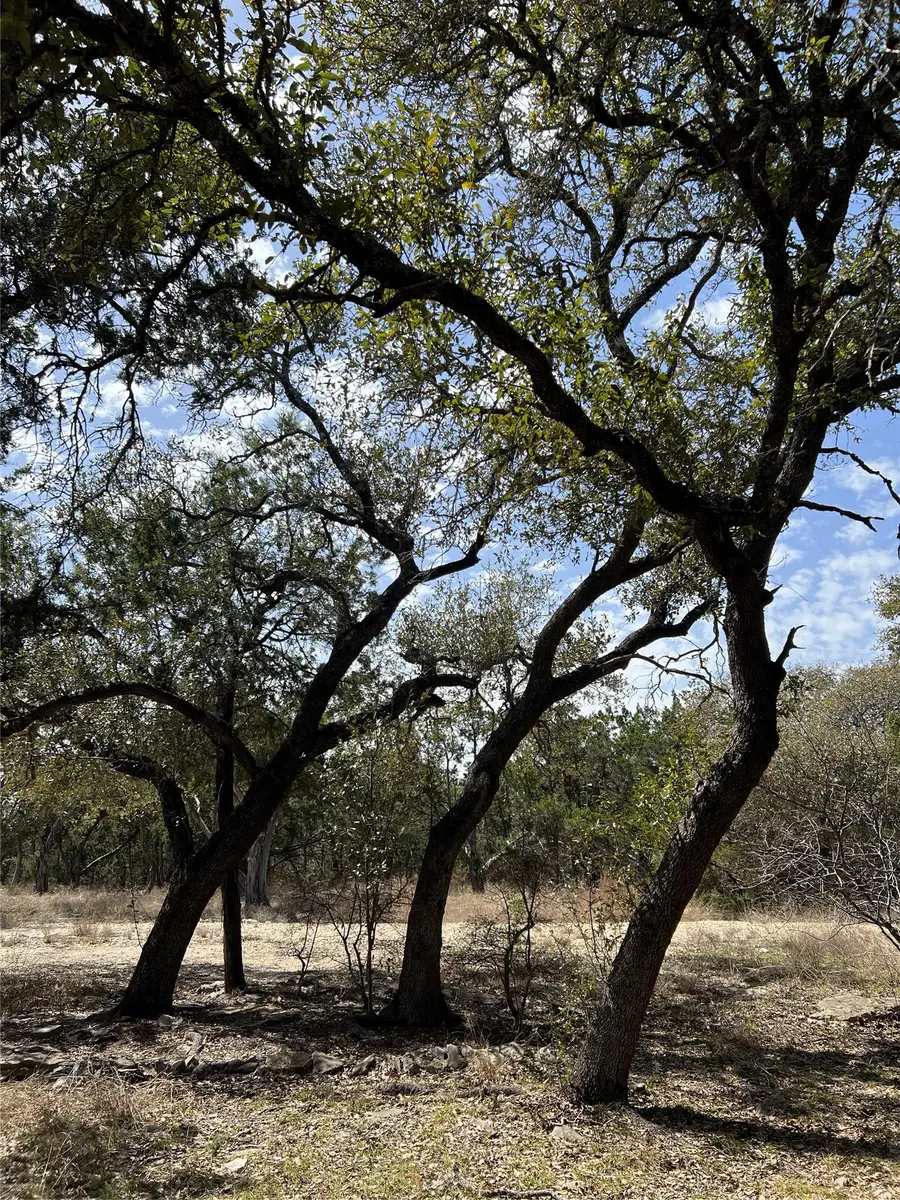 1425 Longhorn Trl Rd, Wimberley, TX 78676 - #2