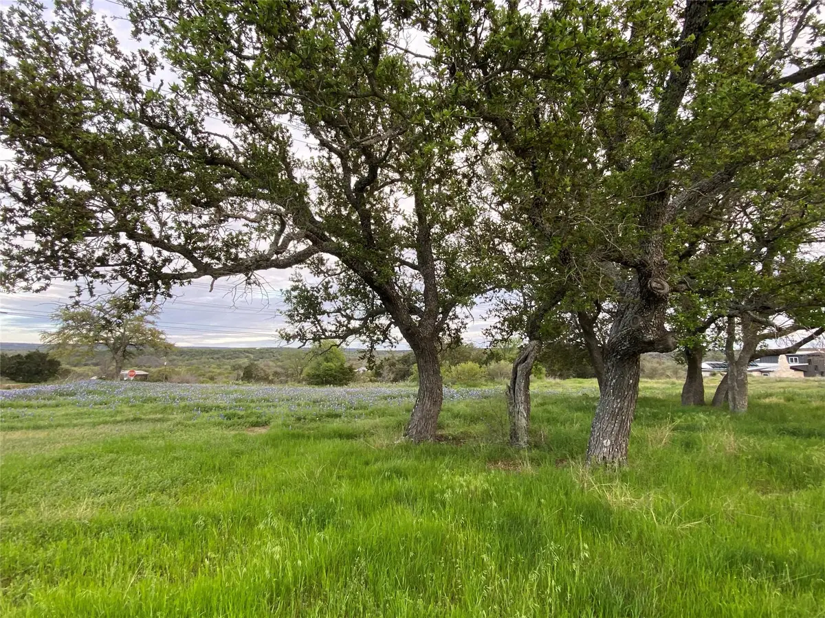 303 S Oak Ln, Burnet, TX 78611 - #1