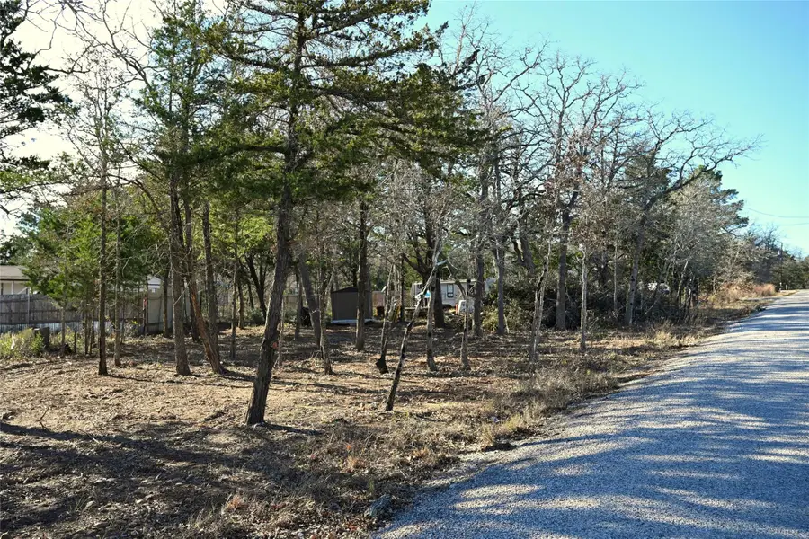 TBD Choctaw Trail Dr, Smithville, TX 78957 - #3