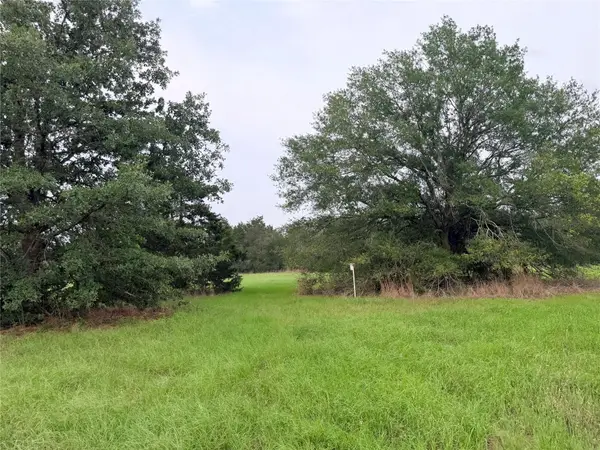 1766 Fm 2104, Paige, TX 78659