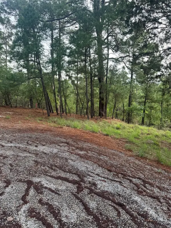 Lot 1492 Haleakala, Bastrop, TX 78602