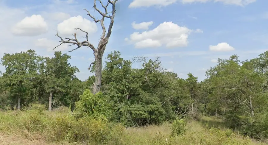 TBA Thousand Oaks Dr, Cedar Creek, TX 78612 - #3