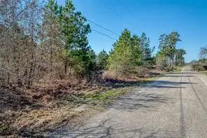 TBD Cardinal Loop Loop, Paige, TX 78659 - Image #3