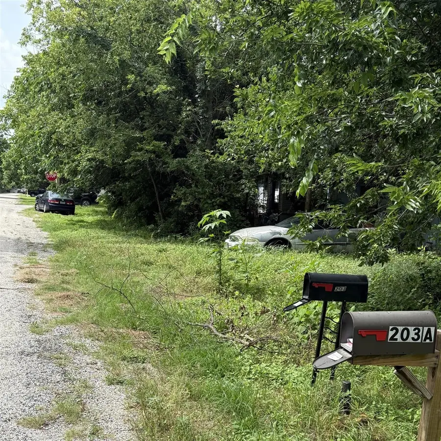 203 Vernon St #A, Thrall, TX 76578 - #3